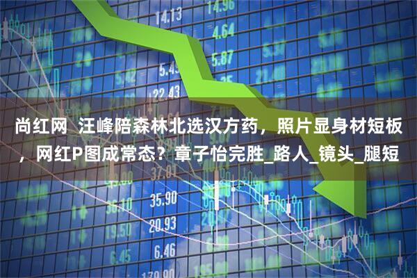 尚红网 汪峰陪森林北选汉方药,照片显身材短板,网红P图成常态?章子怡完胜_路人_镜头_腿短